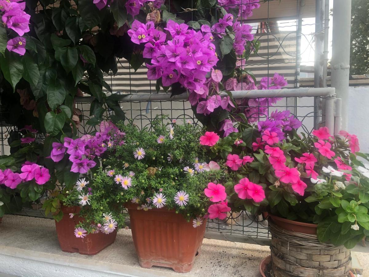 Apartmani Josipa Šibenik Екстериор снимка